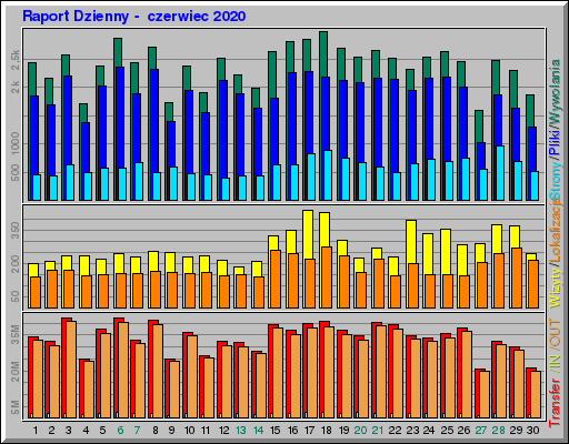 Raport Dzienny -  czerwiec 2020