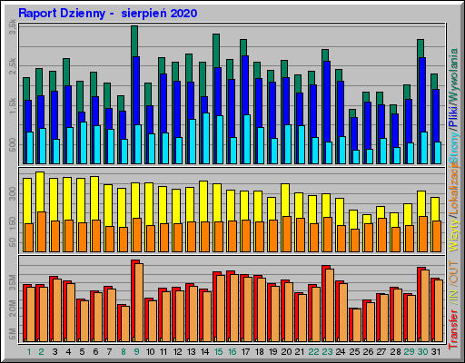 Raport Dzienny -  sierpień 2020