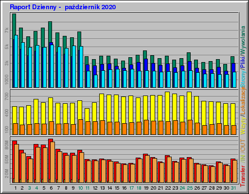 Raport Dzienny -  październik 2020