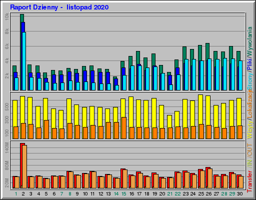 Raport Dzienny -  listopad 2020