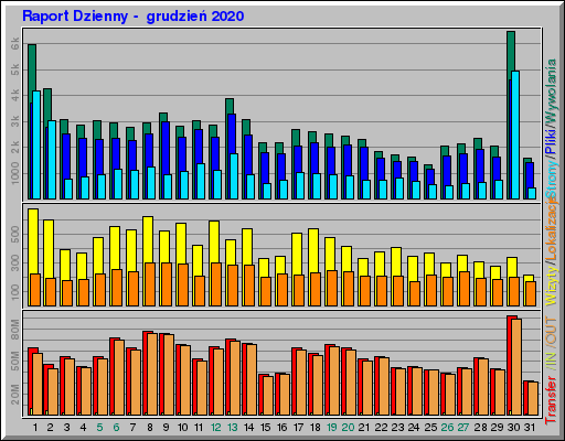 Raport Dzienny -  grudzień 2020