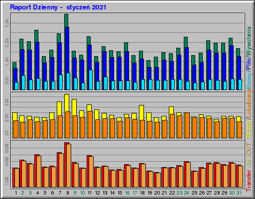 Raport Dzienny -  styczeń 2021