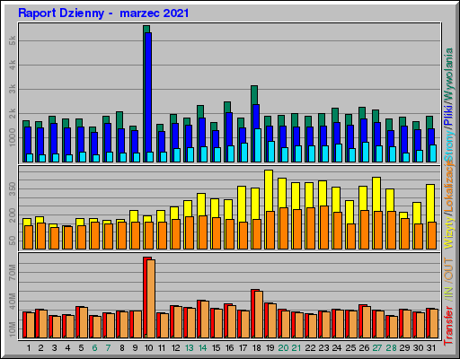 Raport Dzienny -  marzec 2021