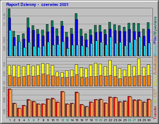 Raport Dzienny -  czerwiec 2021