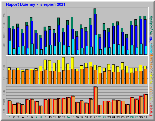 Raport Dzienny -  sierpień 2021