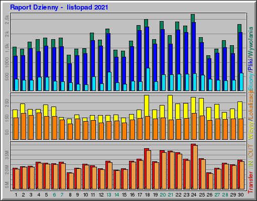 Raport Dzienny -  listopad 2021