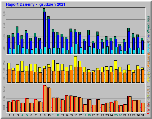 Raport Dzienny -  grudzień 2021