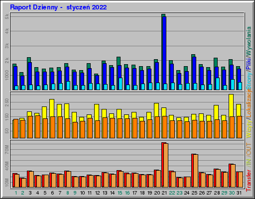 Raport Dzienny -  styczeń 2022
