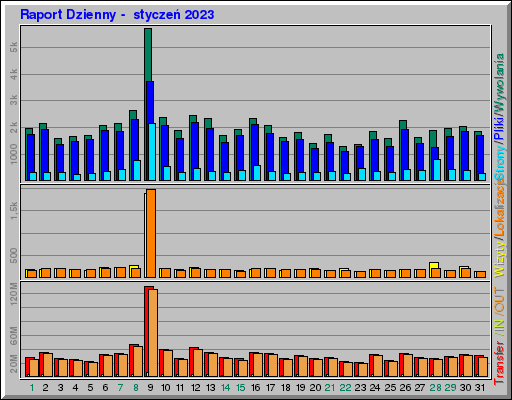 Raport Dzienny -  styczeń 2023