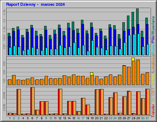 Raport Dzienny -  marzec 2024