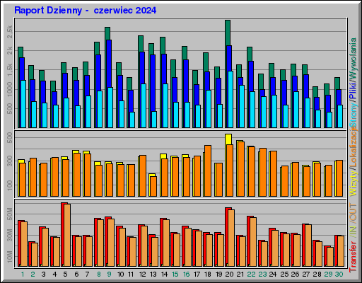 Raport Dzienny -  czerwiec 2024