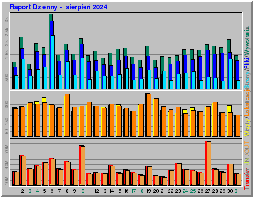 Raport Dzienny -  sierpień 2024