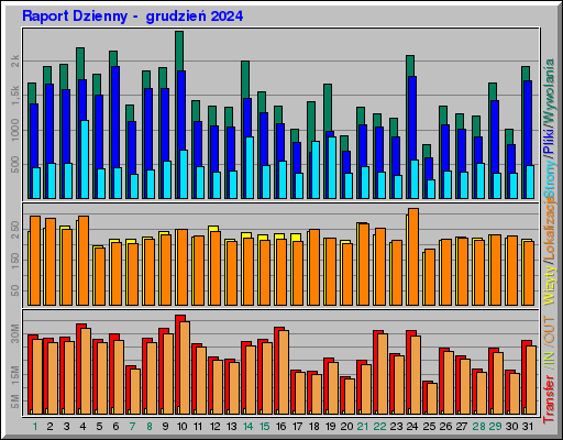 Raport Dzienny -  grudzień 2024