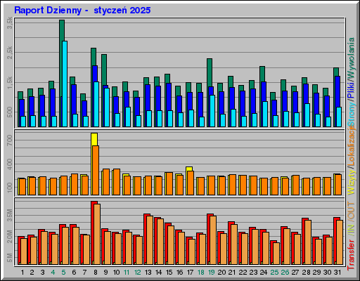 Raport Dzienny -  styczeń 2025