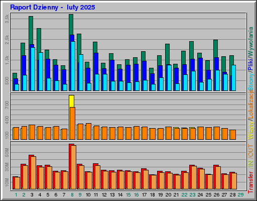 Raport Dzienny -  luty 2025