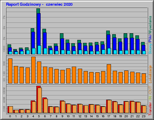 Raport Godzinowy -  czerwiec 2020