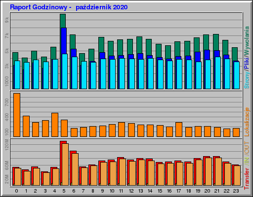 Raport Godzinowy -  październik 2020