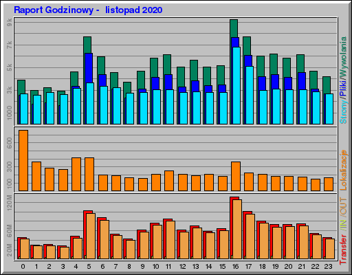 Raport Godzinowy -  listopad 2020