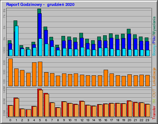 Raport Godzinowy -  grudzień 2020