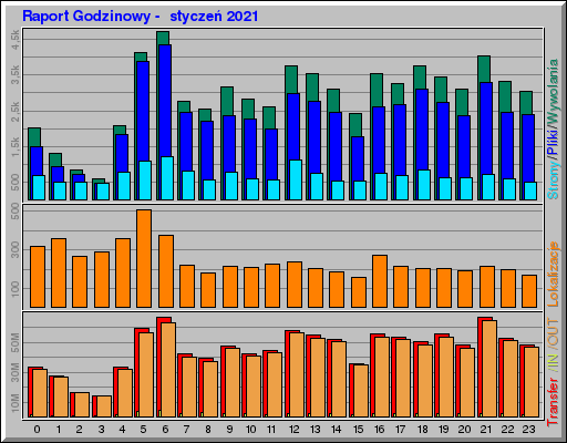Raport Godzinowy -  styczeń 2021