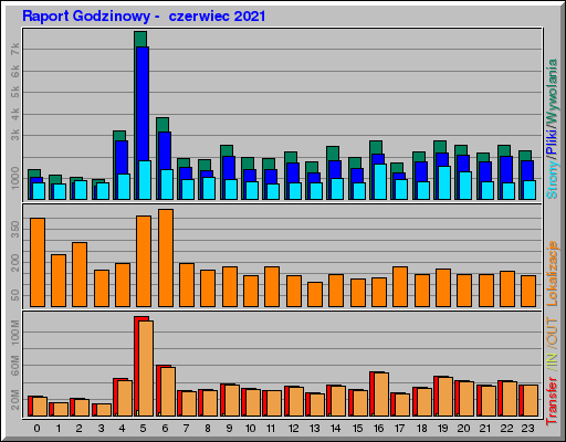 Raport Godzinowy -  czerwiec 2021