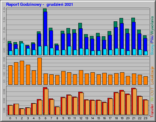 Raport Godzinowy -  grudzień 2021