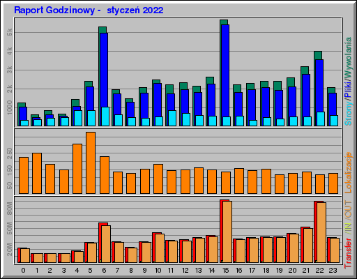 Raport Godzinowy -  styczeń 2022