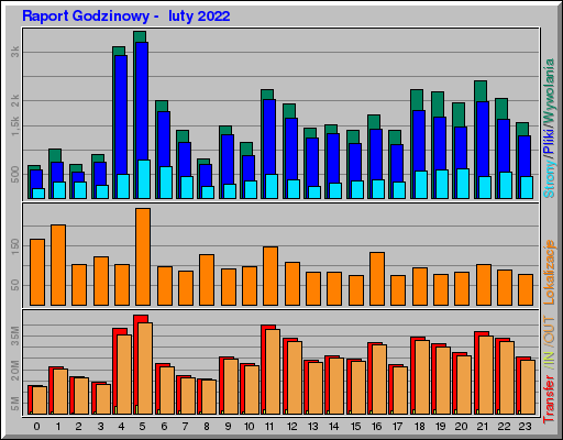 Raport Godzinowy -  luty 2022