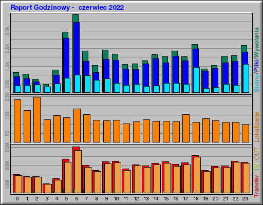 Raport Godzinowy -  czerwiec 2022