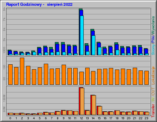 Raport Godzinowy -  sierpień 2022