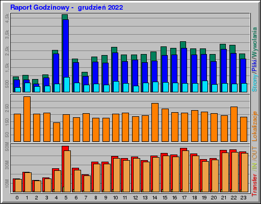 Raport Godzinowy -  grudzień 2022