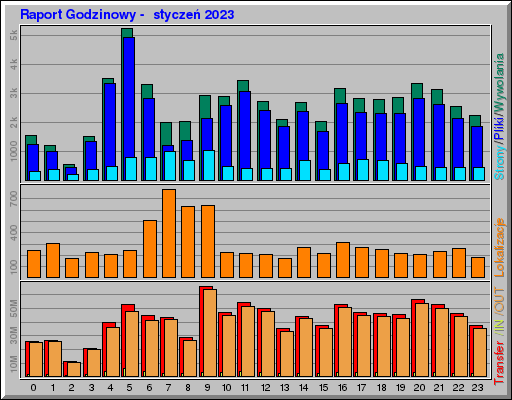 Raport Godzinowy -  styczeń 2023