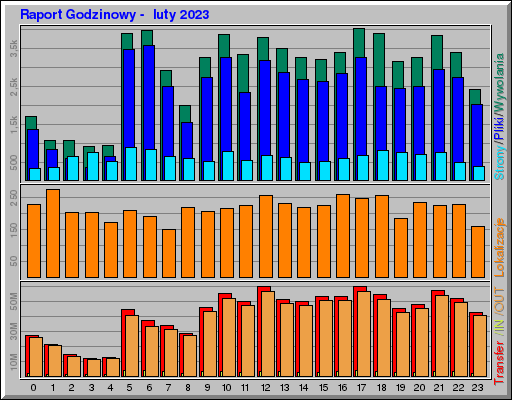 Raport Godzinowy -  luty 2023