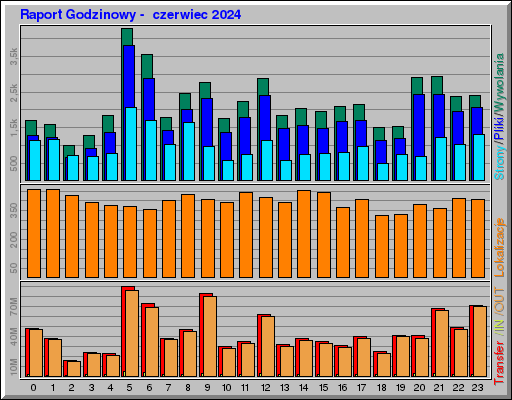 Raport Godzinowy -  czerwiec 2024