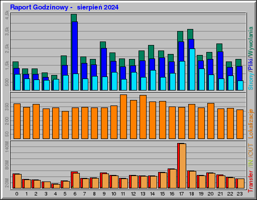 Raport Godzinowy -  sierpień 2024