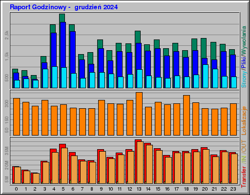 Raport Godzinowy -  grudzień 2024