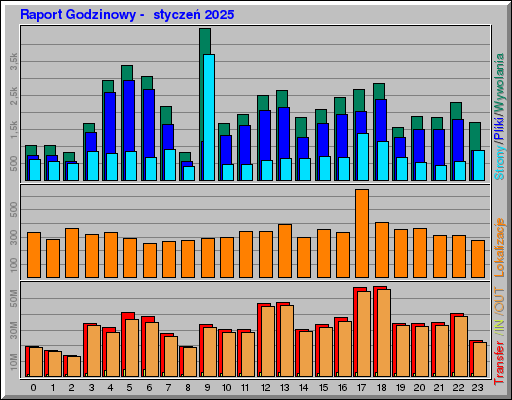 Raport Godzinowy -  styczeń 2025