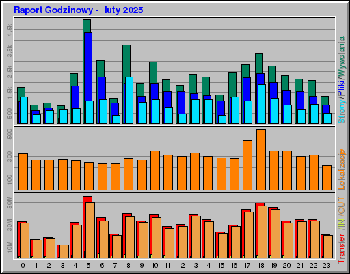 Raport Godzinowy -  luty 2025