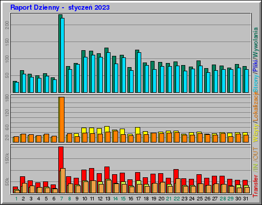 Raport Dzienny - styczeĹ 2023 Raport Dzienny - styczeĹ 2023