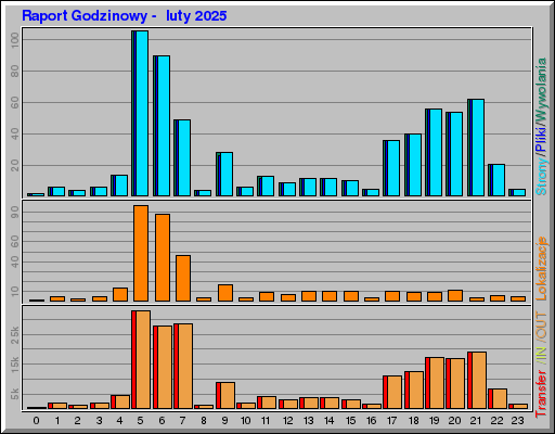 Raport Godzinowy - luty 2025 Raport Godzinowy - luty 2025
